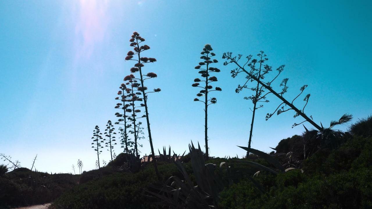 Rosa Marina Villa Scicli Dış mekan fotoğraf