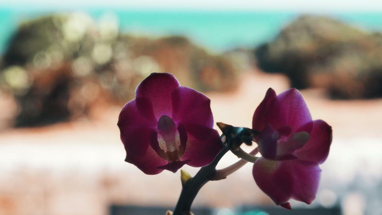 Rosa Marina Villa Scicli Dış mekan fotoğraf